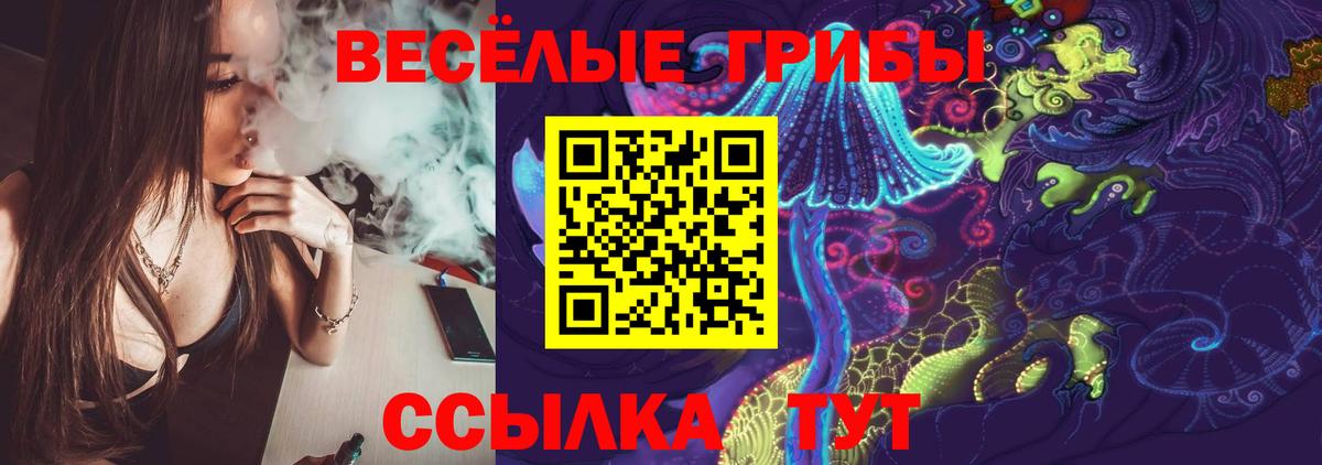 Тимашёвск  Псилоцибиновые грибы GOLDEN TEACHER  где купить наркоту  Вход с VPN 