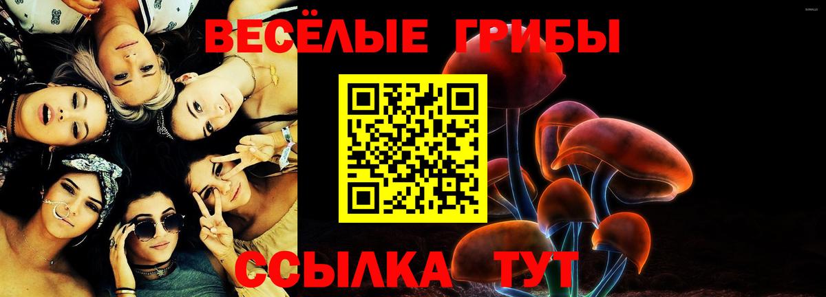 Галлюциногенные грибы мицелий Тимашёвск