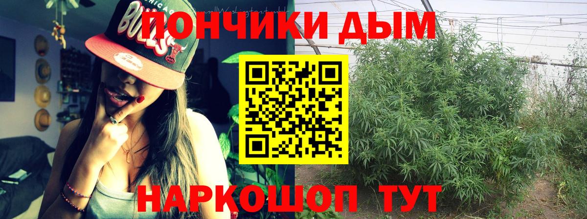 Марихуана гибрид Тимашёвск
